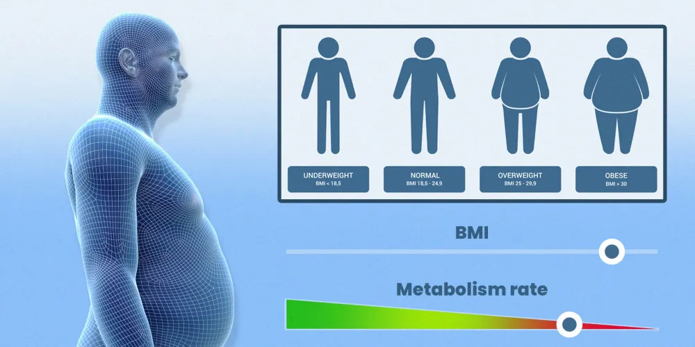 why you cant lose weight