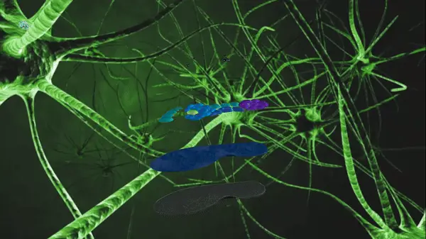 video showing Akusoli insoles features